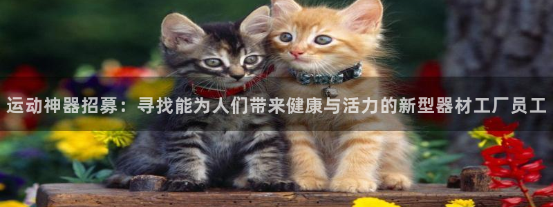 熊猫体育娱乐40996：运动神器招募：寻找能为人们带