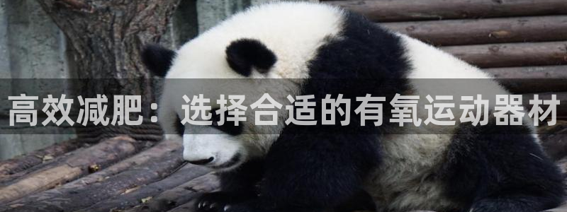 海南熊猫体育官网下载发展怎么样：高效减肥：选择合适的有氧运动