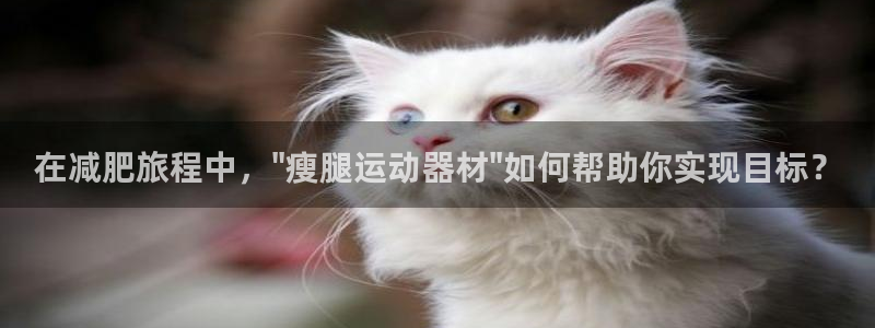 熊猫体育官网下载招商电话地址查询