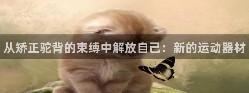 熊猫体育官方：从矫正驼背的束缚中解放自己：新的运动器材