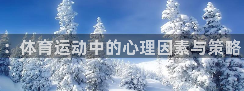 vsport体育：：体育运动中的心理因素与策略