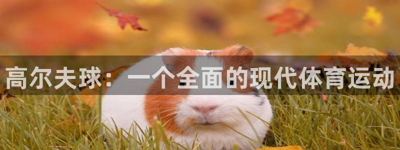 vsport体育：高尔夫球：一个全面的现代体育运动