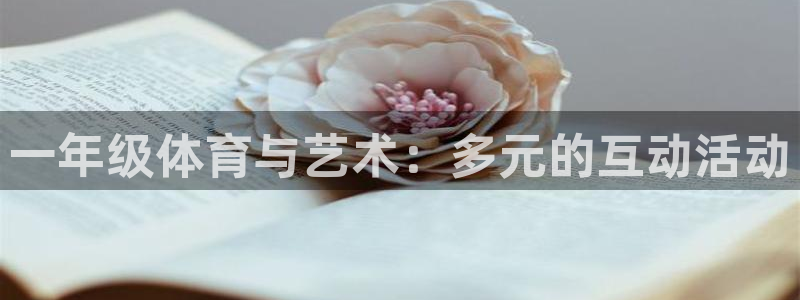 vsport体育在线官网：一年级体育与艺术：多元的互动活动