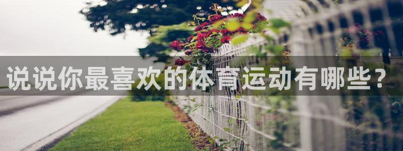 vsport体育在线官网：说说你最喜欢的体育运动有哪些？