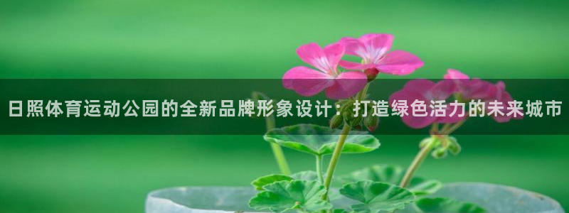 vsport体育在线官网