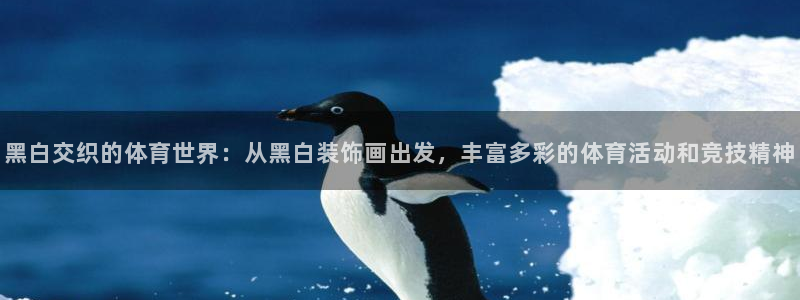 vsport体育在线官网