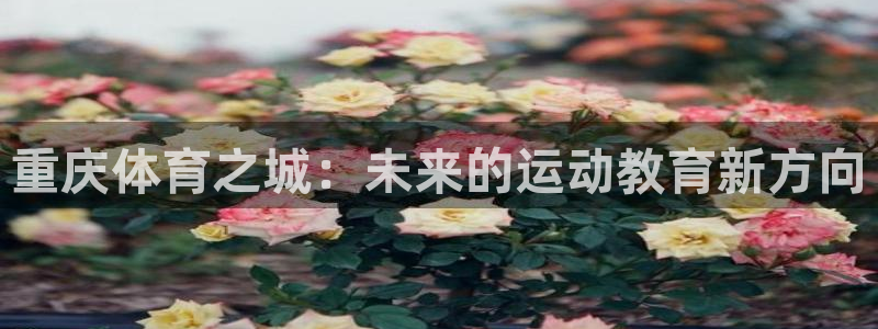 vsport体育
