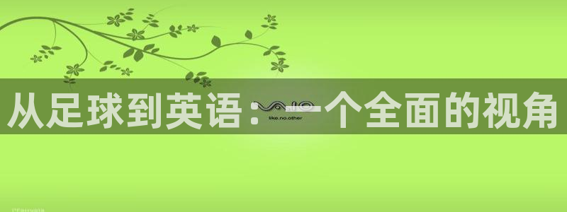 vsport体育在线官网