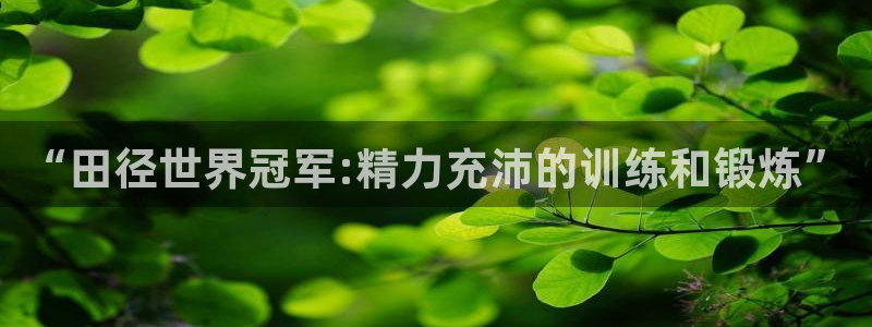 vsport体育在线官网