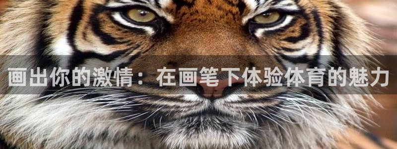 vsport体育在线官网